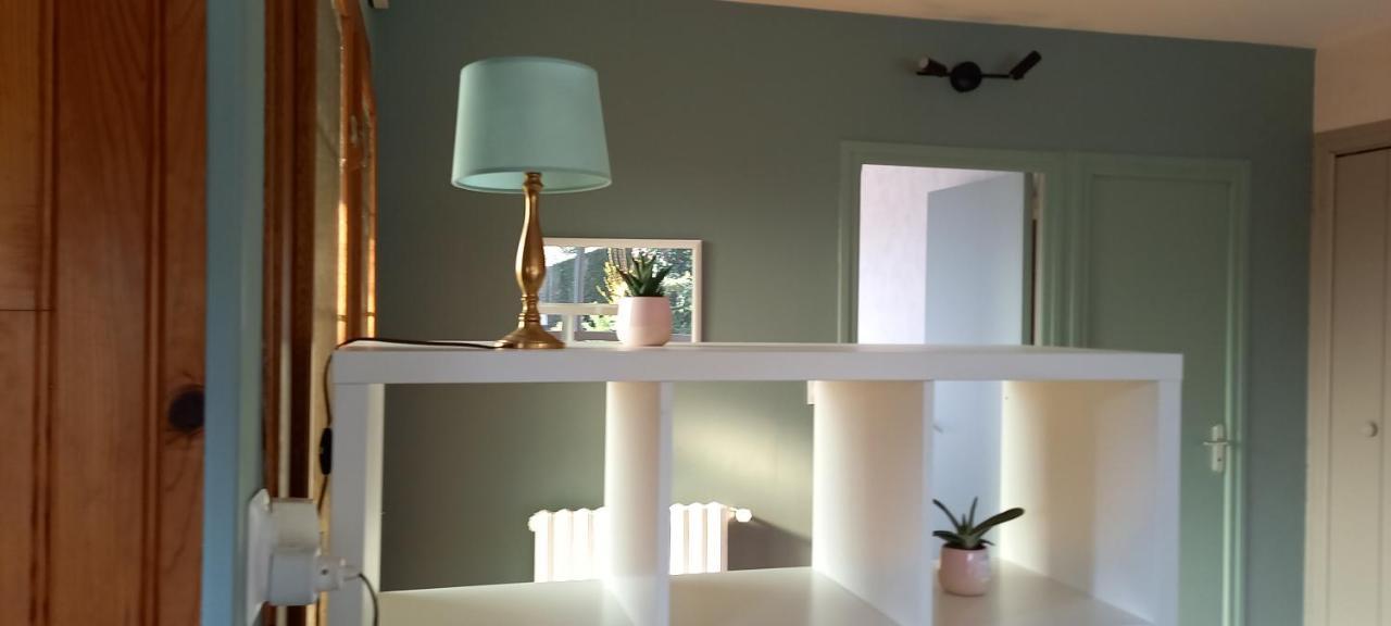Terrasse, Jardin,, Appartement 80M², Vue Montagne, Wifi, Bureau Bagnères-de-Bigorre Kültér fotó